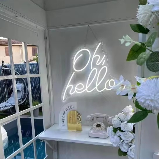 Op maat gemaakte LED neonrecla - Neon Sign Custom Led recensie en prijs